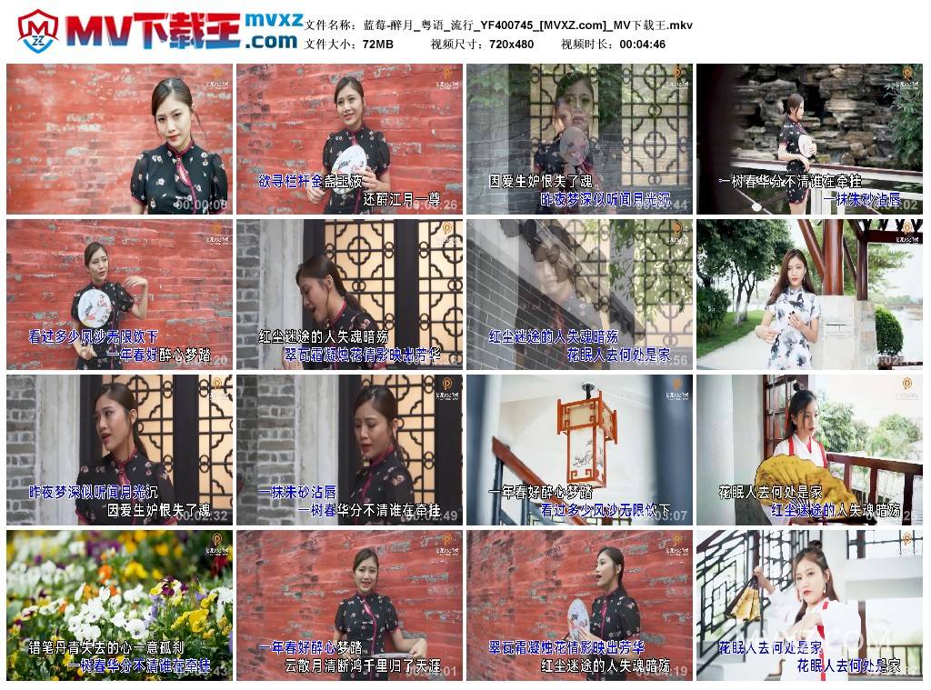 蓝莓-醉月_粤语_流行_YF400745